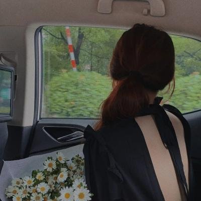菠萝蜜之谜