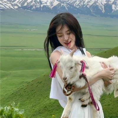 动物园真相第二季